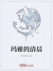 法国空乘2024满天星法版