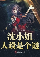 娃娃论坛
