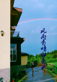 西西中国版艺术图片