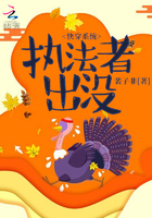 2024美国最新理论片