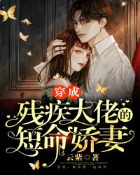 这就是铁甲第一季免费观看完整版