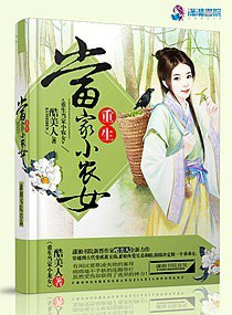 丁香小说网