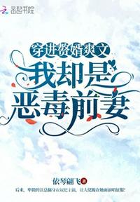 巫师2:刺客之王