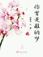 四神集团