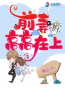 翻滚吧前夫小说