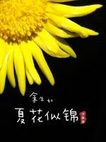 仙女棒做坐着使用视频