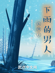 第一首长夫人免费阅读
