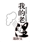 洛冰淫传
