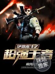 盖世太保