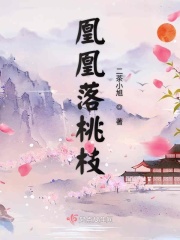 老婆小说