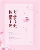 台湾老中文娱乐网