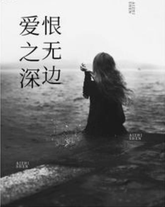 高hbl小说下载