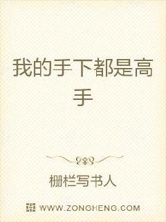 巨人导航 在线视频