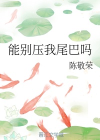 万能控制芯片吴熊