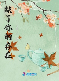 朋友的母亲完整有限中字木