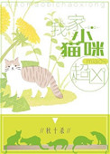 全家人的丹尼斯口令