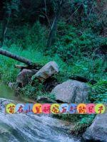 看着镜子我们怎么进去的