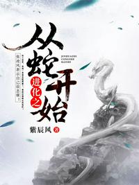 白洁与高校长