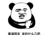 艳照门张柏芝