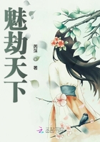 杀破狼1
