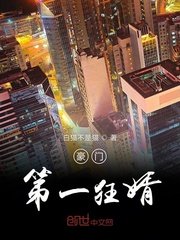 极品家丁绿帽版
