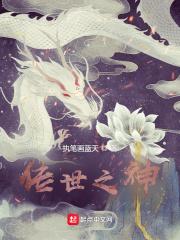 林辛言宗景灏小说
