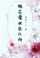 星语心愿之再爱