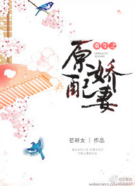 gachin娘官网视频
