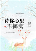 甜梦文库