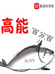 23331.com