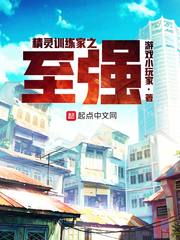 小说弄潮
