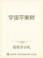 波西来