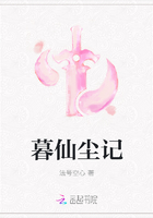 肉车文