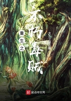 照亮你小说