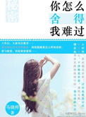 刀剑英雄