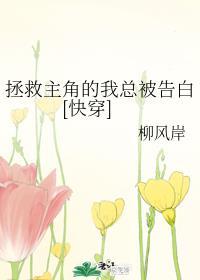 两攻同时进入受强迫