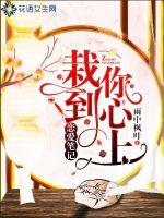 双龙记