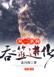法国啄木鸟免费网站