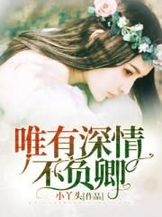 假面骑士w全集