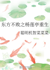 穿越四夫临门之共妻