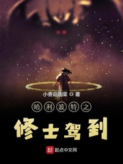 星穹铁道预抽卡