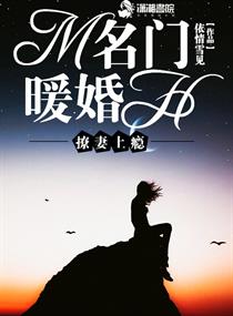 顶楼里的大象完整版