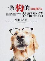 消除泡泡龙