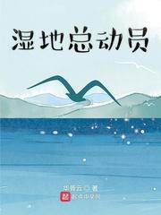 B站年轻人视频APP