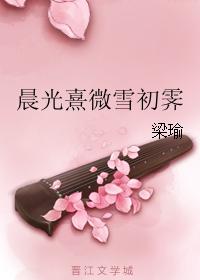 正义的使命完整版阅读