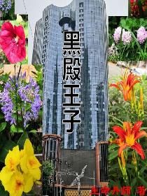 小说合集txt下载