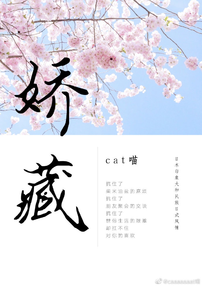 征服贤淑局长夫人