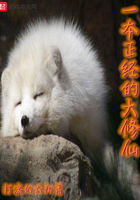 弄烂这浪货h