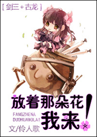 职业粉丝