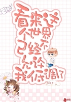 请叫我总监免费观看全集完整版